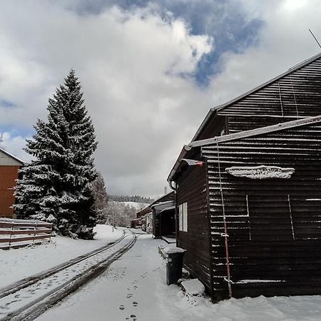 Penzion Apartmany Aninka Mariánská Zewnętrze zdjęcie